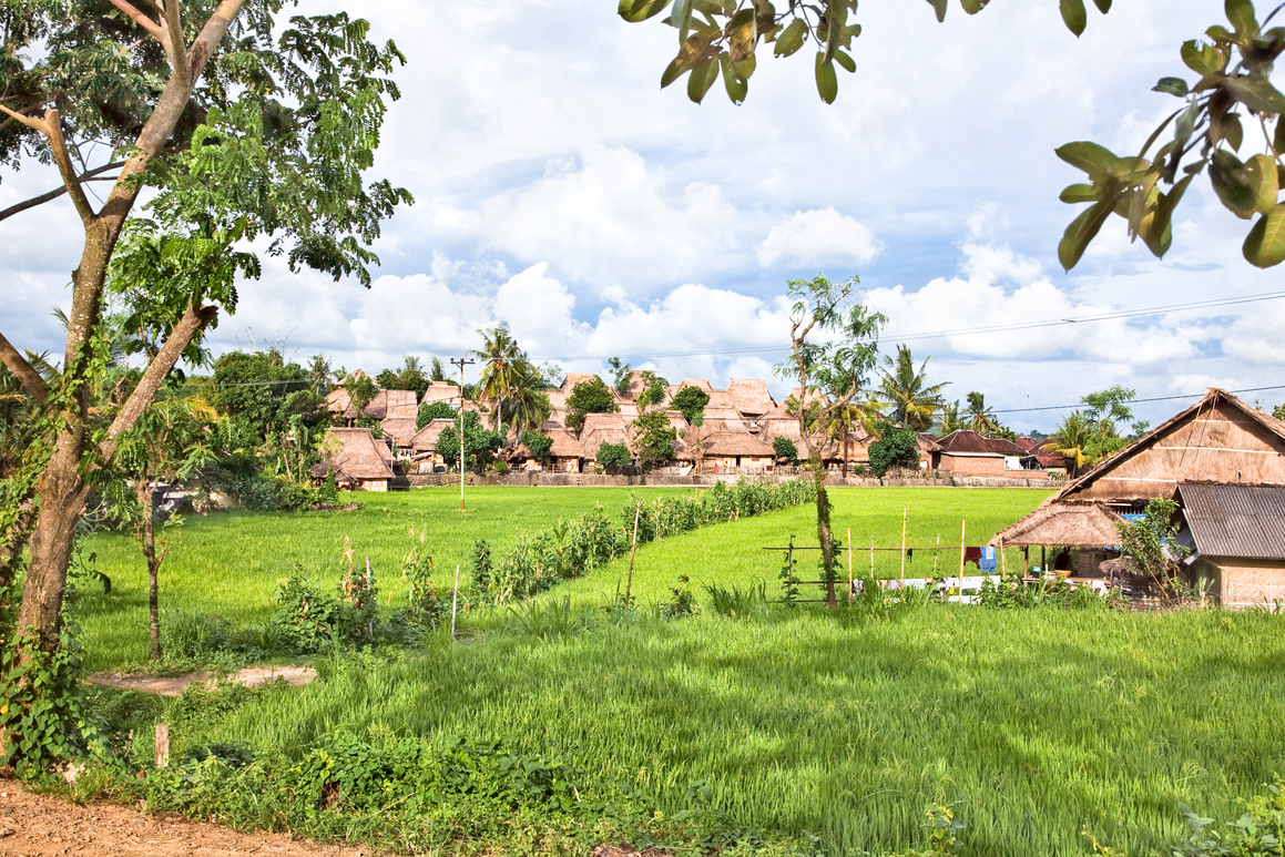 Sade-Traditional Lombok old village